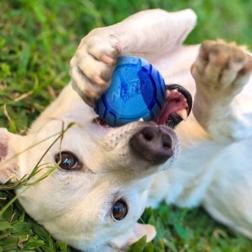 Un parfum qui donne envie de jouer