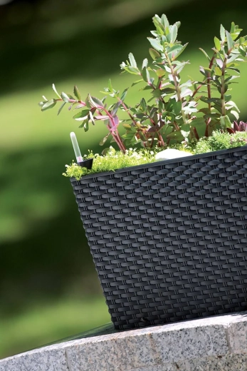 Design rotin élégant pour l’intérieur et l’extérieur