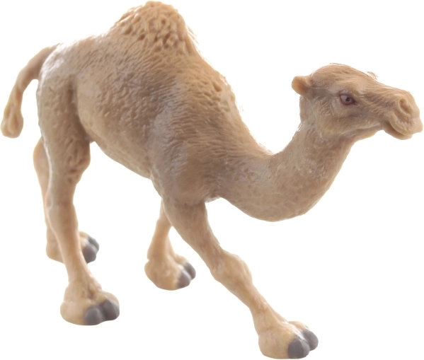 Plastique durable et position stable