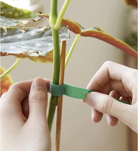 Support doux pour les plantes et utilisation au quotidien