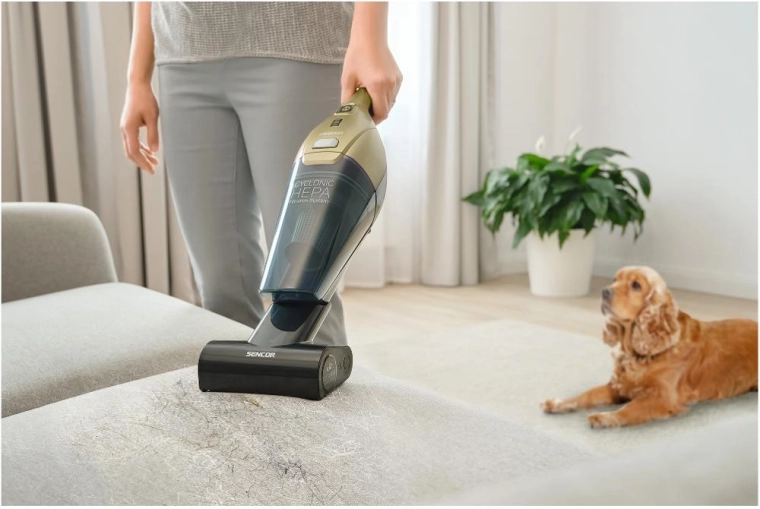 Aspirateur à main et brosse Cat & Dog Mini