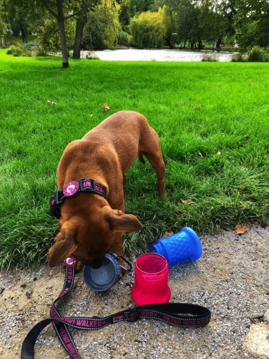 Gamelle de voyage en un instant