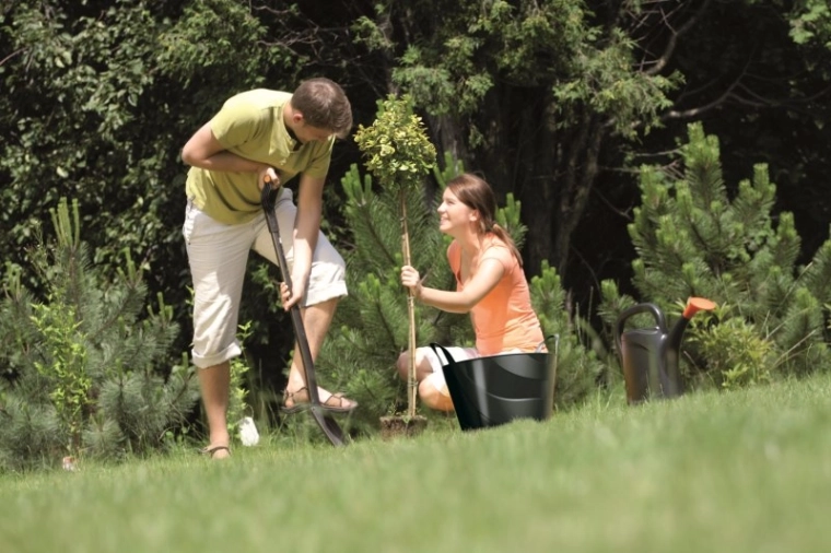 Assistant universel pour la maison et le jardin