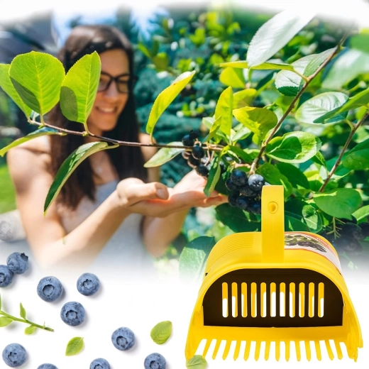 Récolte plus propre sans feuilles