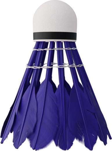 Vol rapide et stable avec plumes de canard