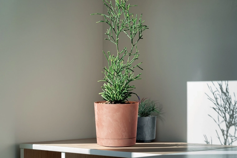 Adapté à l’intérieur comme à l’extérieur