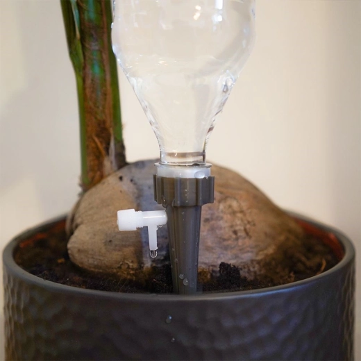 Ancrage stable dans le pot