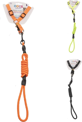 Harnais pour chien avec laisse 1,2 m (3ASS)