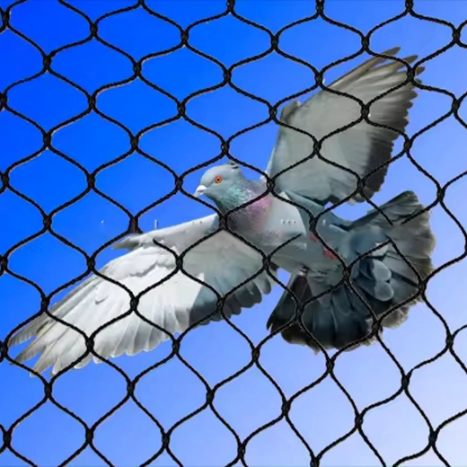 Barrière efficace contre les oiseaux