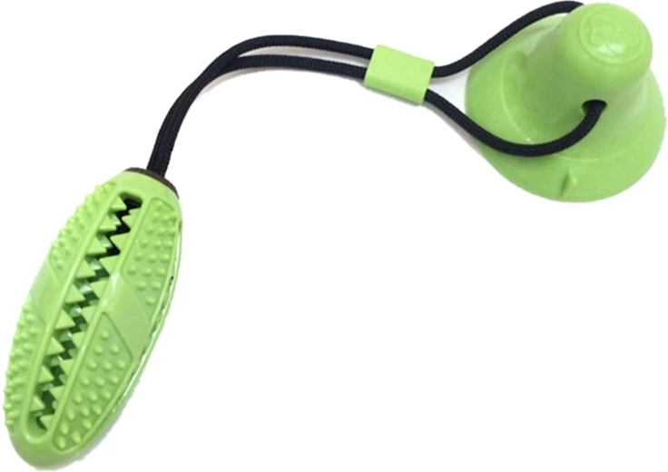 Nettoyage des dents et massage des gencives