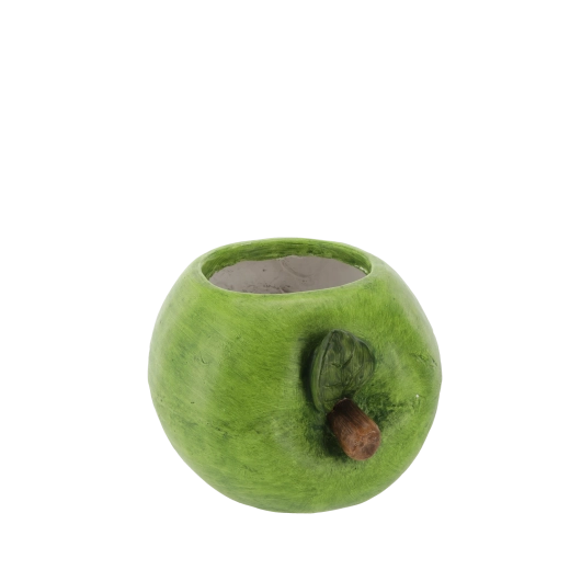 Dimensions idéales pour herbes et petites plantes