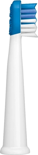 Nettoyage en profondeur des dents