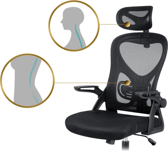 Soutien ergonomique du cou et des lombaires