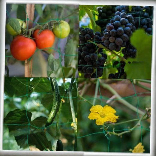 Utilisation universelle au jardin comme en serre