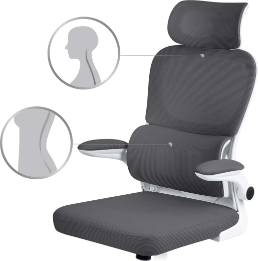 Soutien ergonomique du dos et de la tête