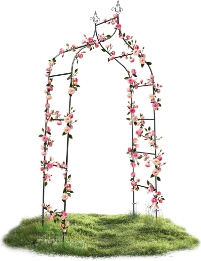 Support parfait pour plantes grimpantes