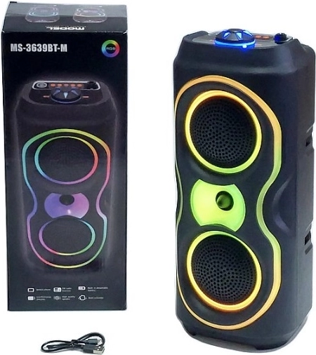 Haut-parleur Bluetooth portable avec éclairage RGB, USB et radio FM