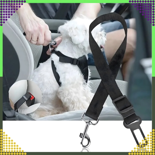 Fixation sécurisée au harnais