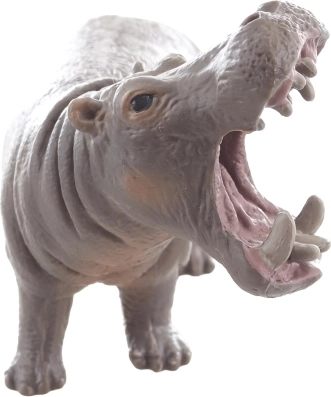 Idéale pour apprendre sur les animaux