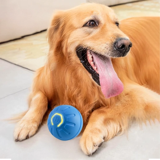 Design résistant et sûr pour dents et pattes