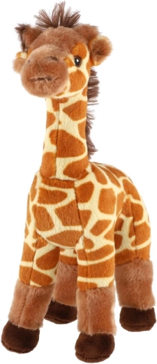 Apparence adorable de girafe