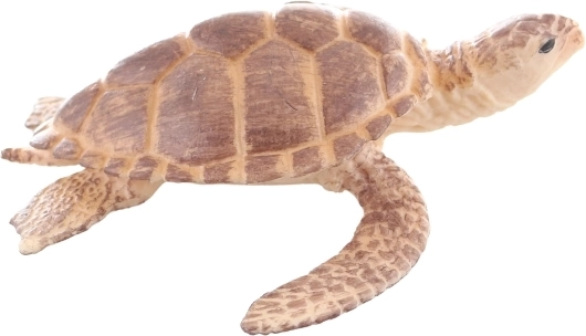 Taille idéale pour les petites mains