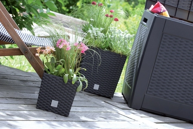 Style rotin élégant pour chaque espace