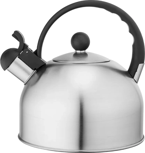 Bouilloire en acier inoxydable Daily satin 2,5 l