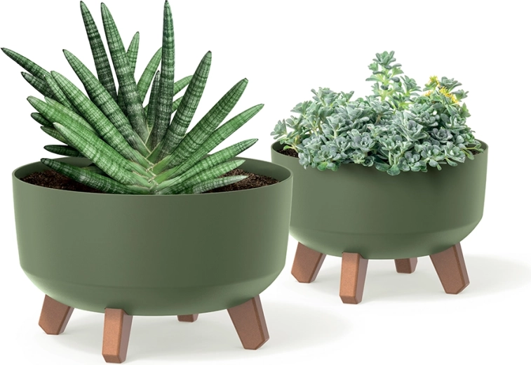 Design moderne et minimaliste