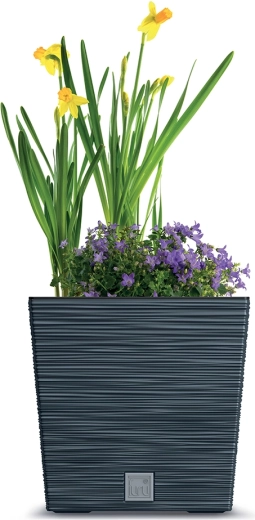 Design carré élégant avec fin rainurage