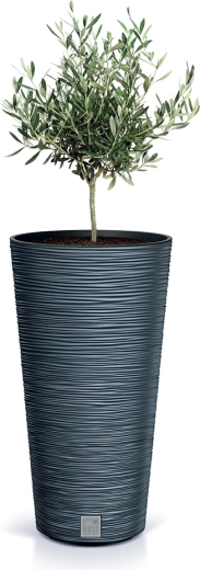 Surface nervurée design