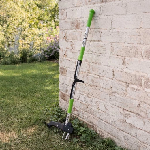 Des griffes qui maintiennent même les grosses racines