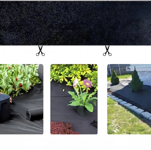 Pose facile et possibilité de plantation par incision