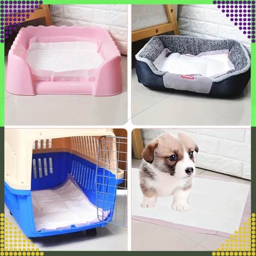 Utilisation polyvalente à la maison et en déplacement