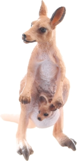 Format compact pour petites mains