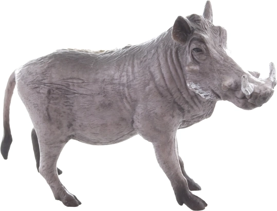 Construction durable pour un jeu quotidien