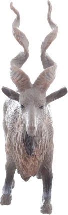 Taille idéale pour la main d’un enfant