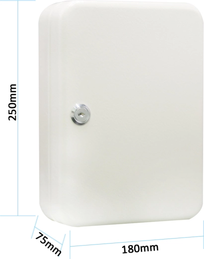 Armoire à clés pour 48 clés, grise, 250 × 180 × 75 mm