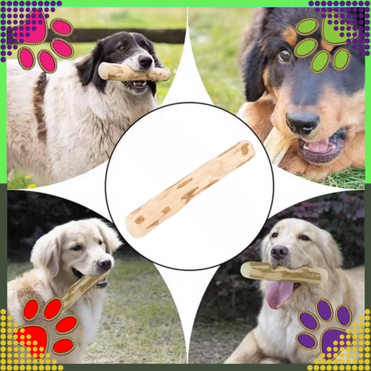 Satisfait l’instinct de mastication et soutient la dentition