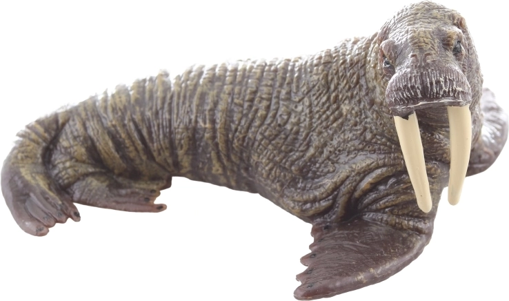 Construction en plastique résistante