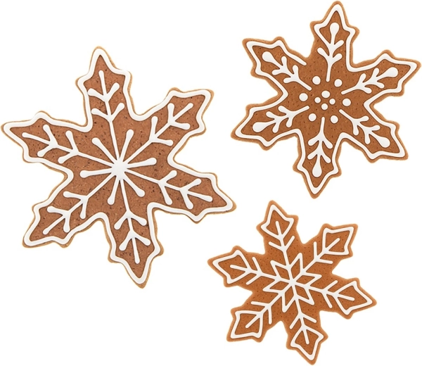 Acier inoxydable durable et entretien facile