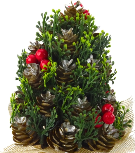 Détails réalistes des pommes de pin et des baies