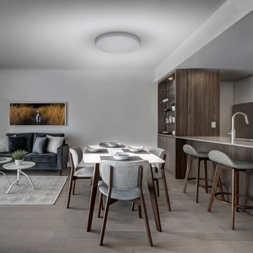 Design élégant à profil bas pour plafond et mur