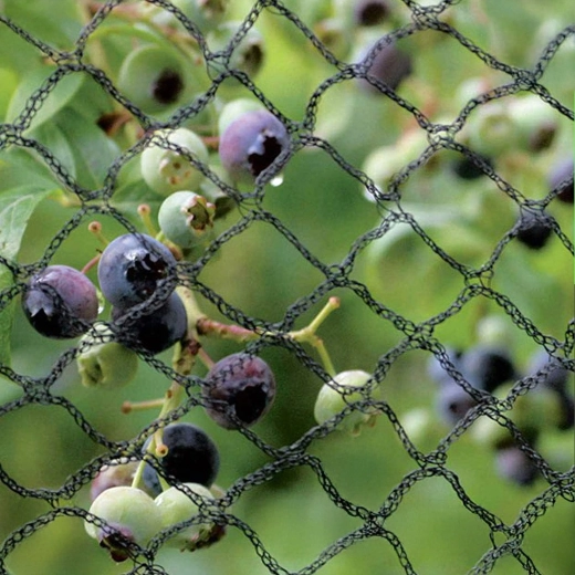 Protection fiable des récoltes et des plantes