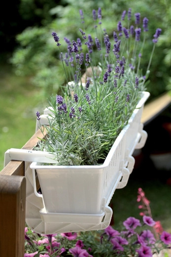 Design épuré pour tout espace