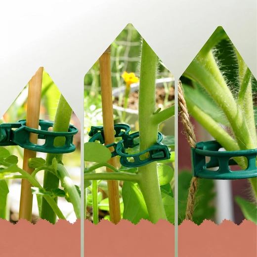 Support stable pour tomates et autres cultures