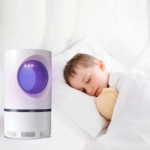 Élimination des insectes silencieuse et sûre