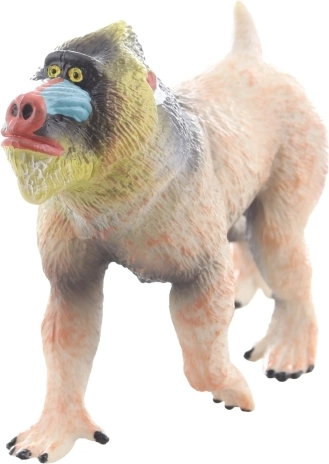 Dimensions compactes et rangement facile