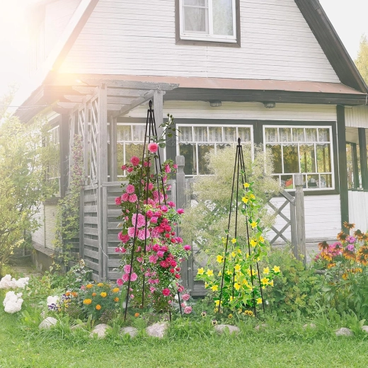 Accent vertical décoratif au jardin