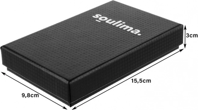 Coffret de rangement élégant pour un stockage en sécurité